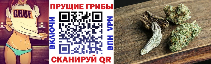 Купить  Якутск  Галлюциногенные грибы Psilocybine cubensis 